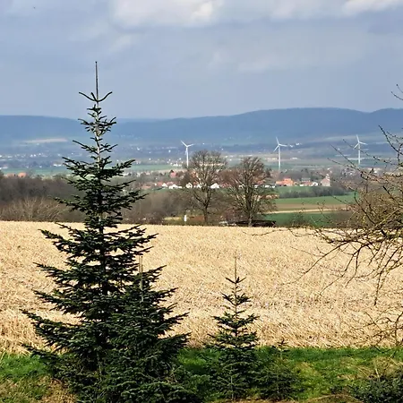 Zur Schoenen Aussicht هاملن